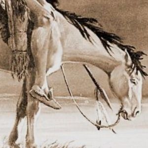 Meet your Posher, Brad